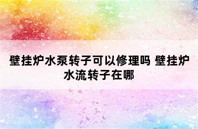 壁挂炉水泵转子可以修理吗 壁挂炉水流转子在哪